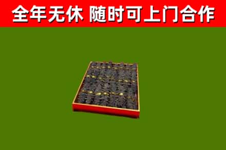 三亚回收海参
